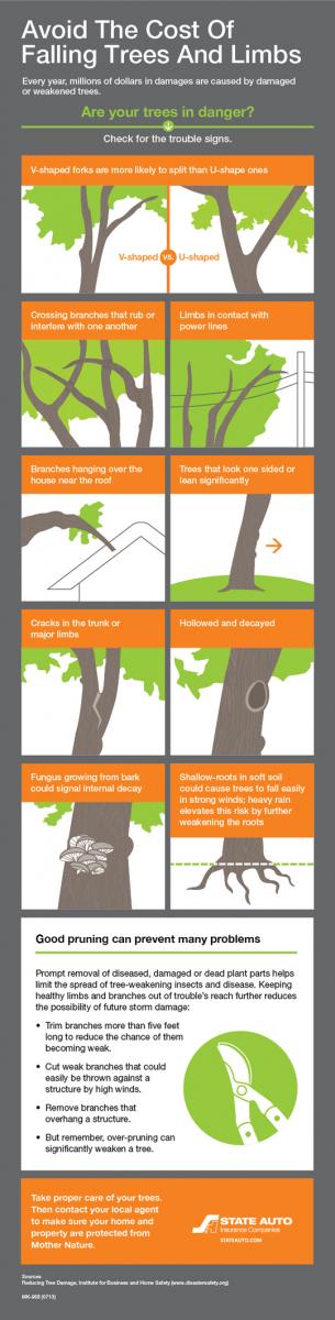 Reducing tree damage | State Auto